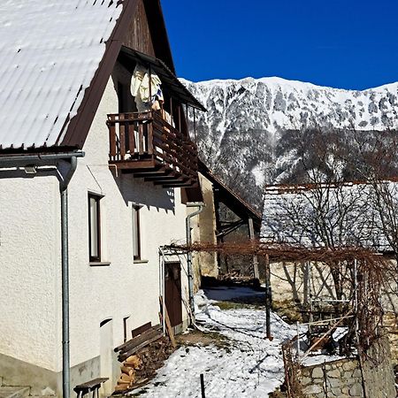 Апартаменты Hikers Hut Hisar Podbrdo Экстерьер фото